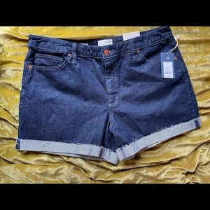 PLUS SIZE DISTRESSED JEAN CUT OFF